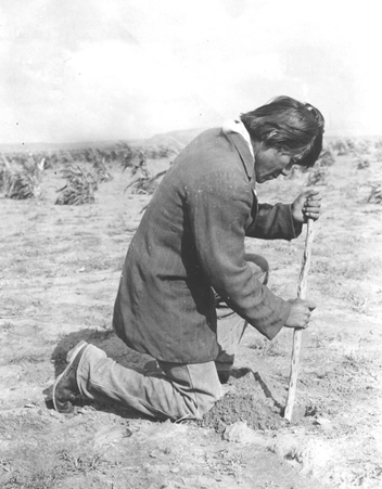 native american planting corn